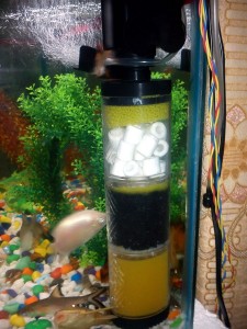 filter carbon aquarium